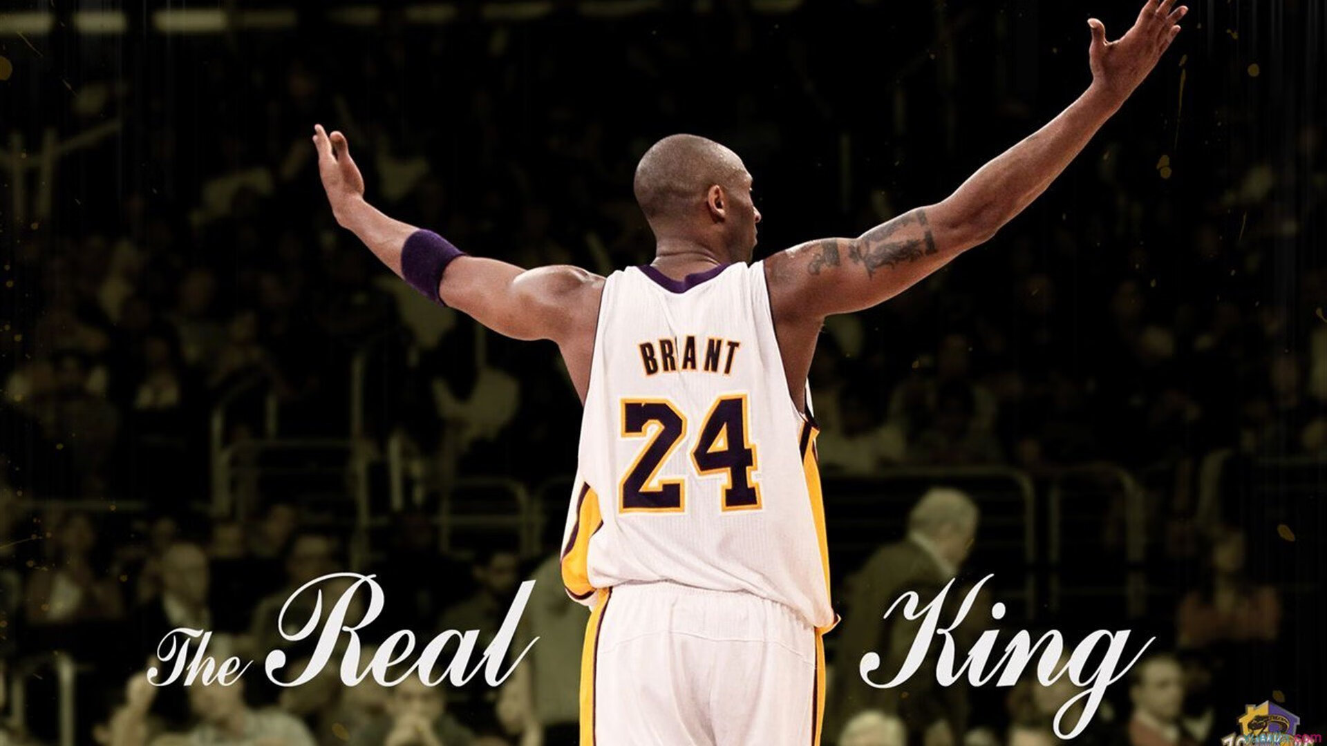 守望先锋 电竞生态持续繁荣,守望先锋电竞agilities